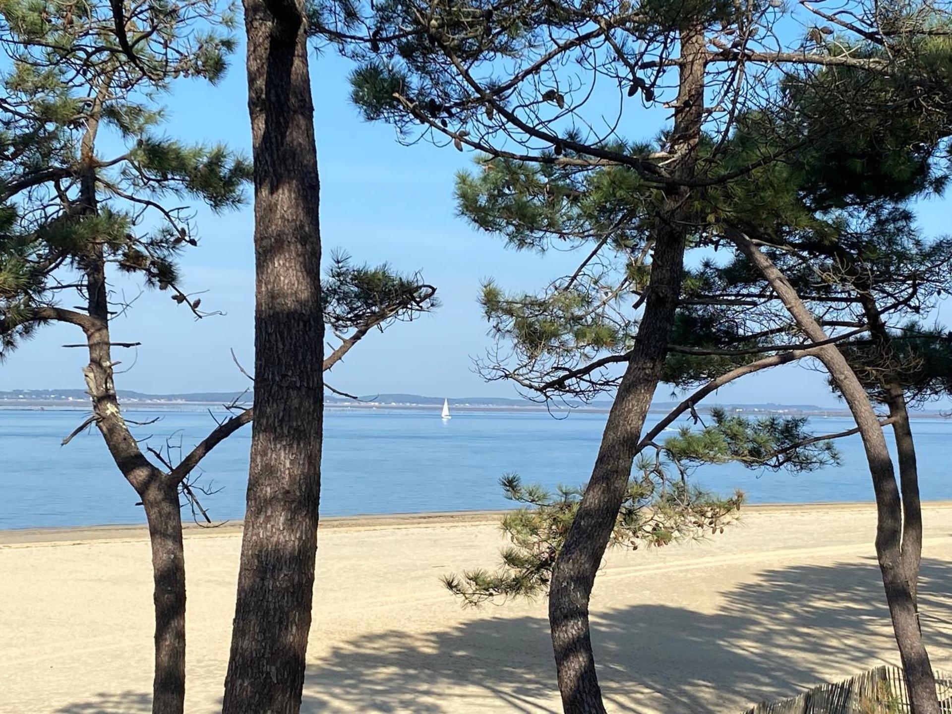 Charme & Confort- Les Cottages Du Bassin D'Arcachon- Petit-Dejeuner Sur Demande - Nuitee, Court Sejour, Semaine Gujan-Mestras Exteriér fotografie